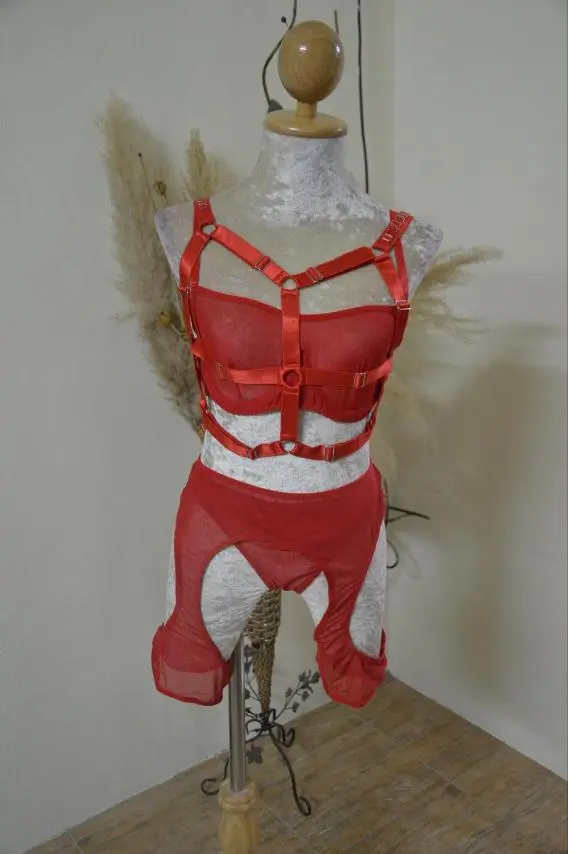 Mesh Sensual Lingerie Set