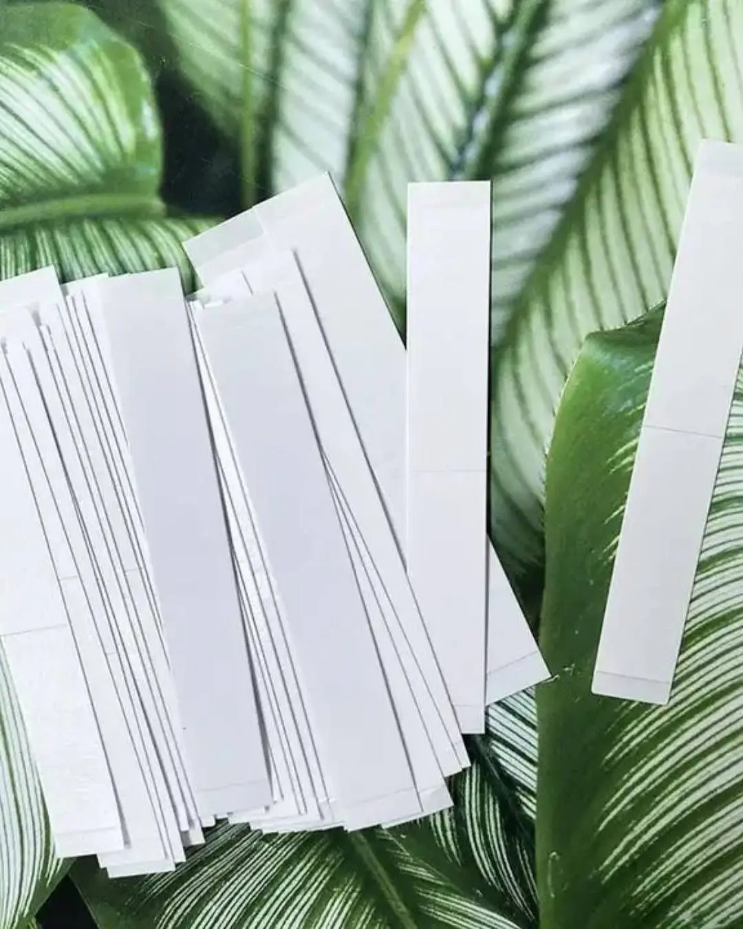 50Pcs Fashion Tape